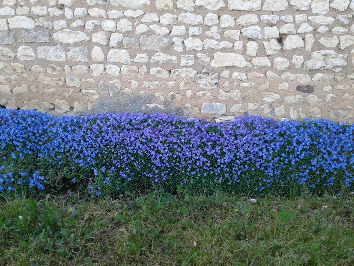 Вілла Fleur Du Soleil Agudelle Екстер'єр фото